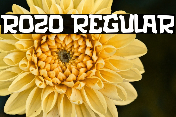 rozo Regular Example 2