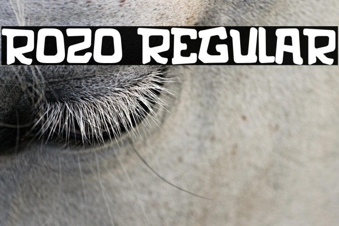 rozo Regular Example 3