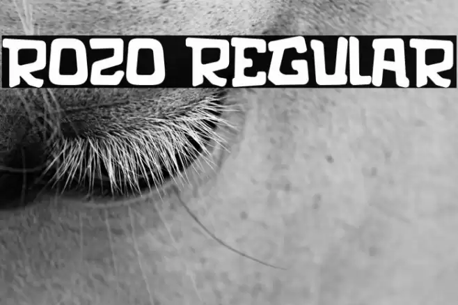 rozo Regular Polices examples