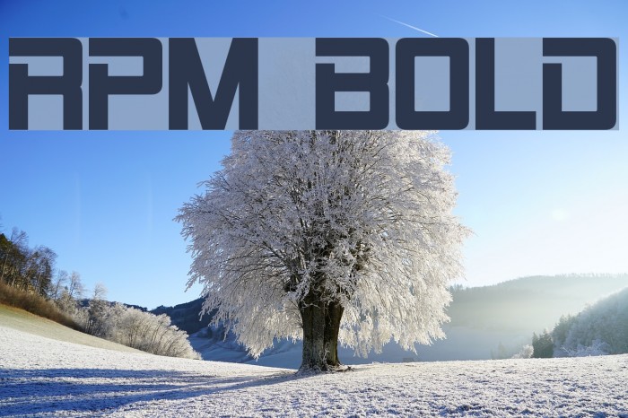 RPM Bold Font examples