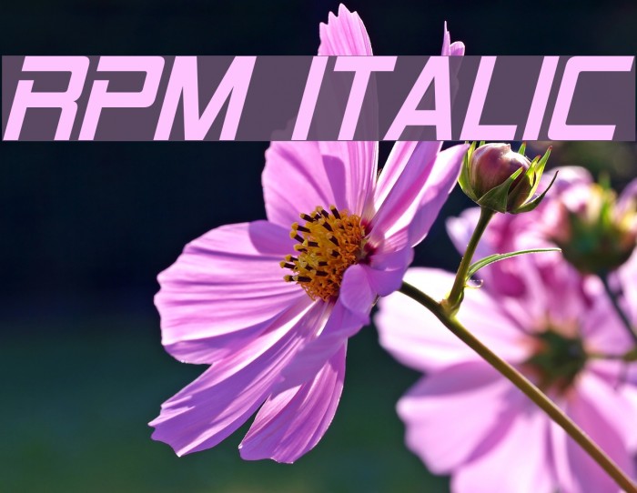 RPM Italic Font examples