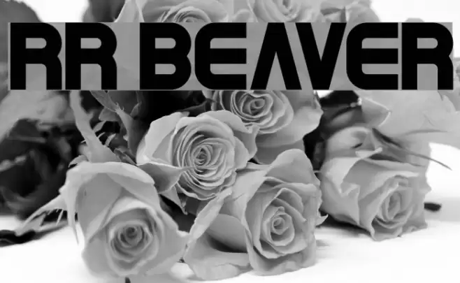 RR Beaver Font examples