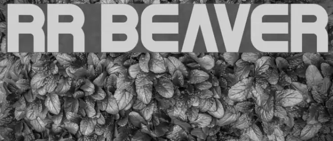 RR Beaver Font examples