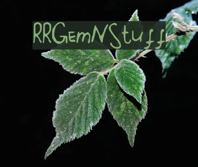 RRGemNStuff Example 2