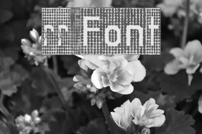 rr Font examples