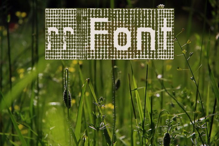 rr Font examples