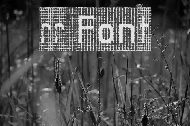 rr Font examples