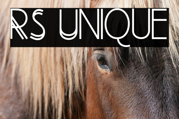 RS Unique Example 2
