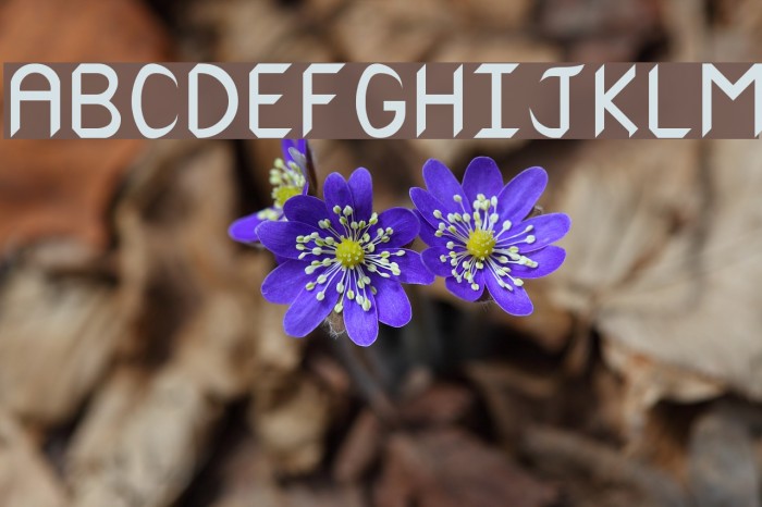 RSCanaith Font examples