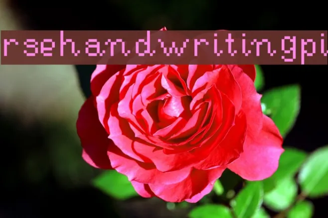 RSEHandwritingPi Example 2