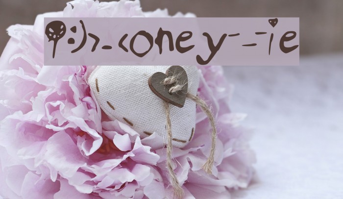 RSHoneyPie Font examples