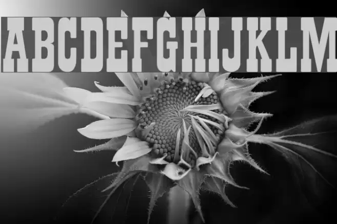 RSPlaybill Font examples