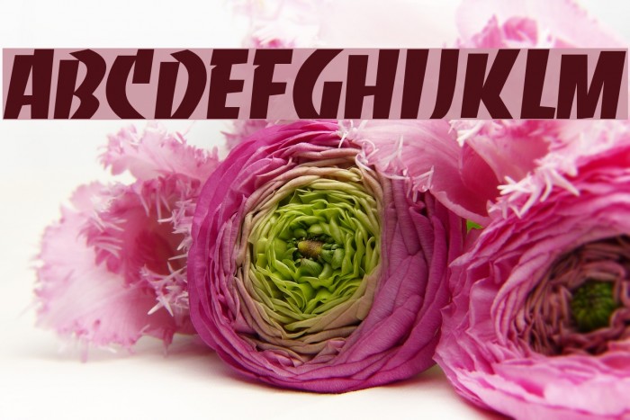 RSSlabface Font examples