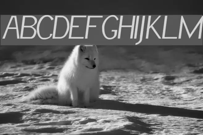 RSSlantInf Font examples