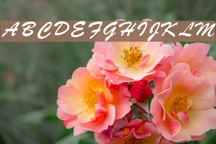 RSStyle Font examples