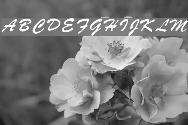 RSStyle Font examples