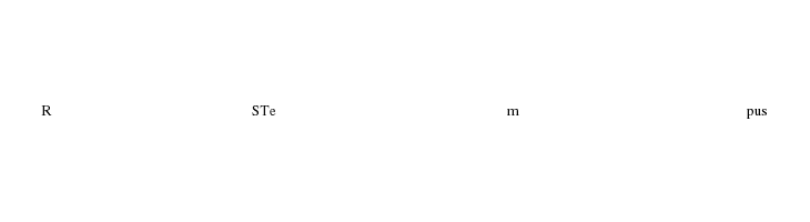 RSTempus Font