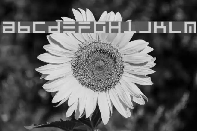 RSUltraLine Font examples