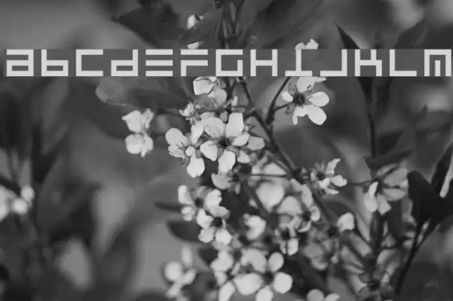 RSUltraLine Font examples