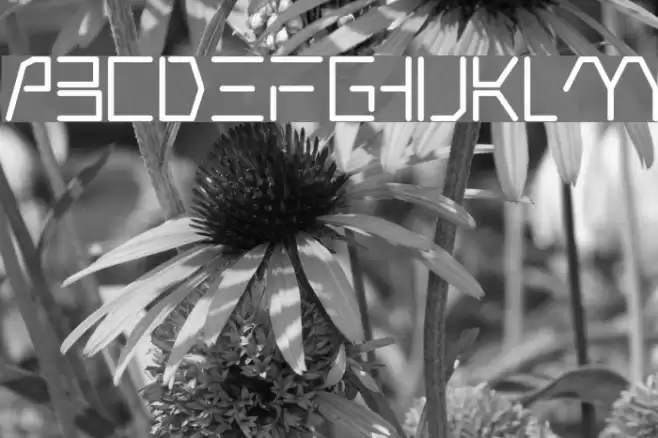 Rsandromed Font examples