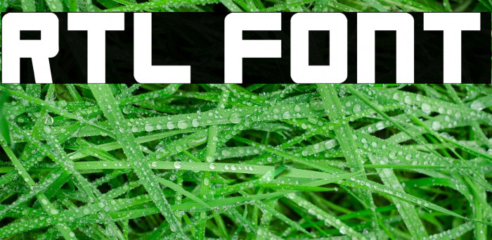 RTL Font examples