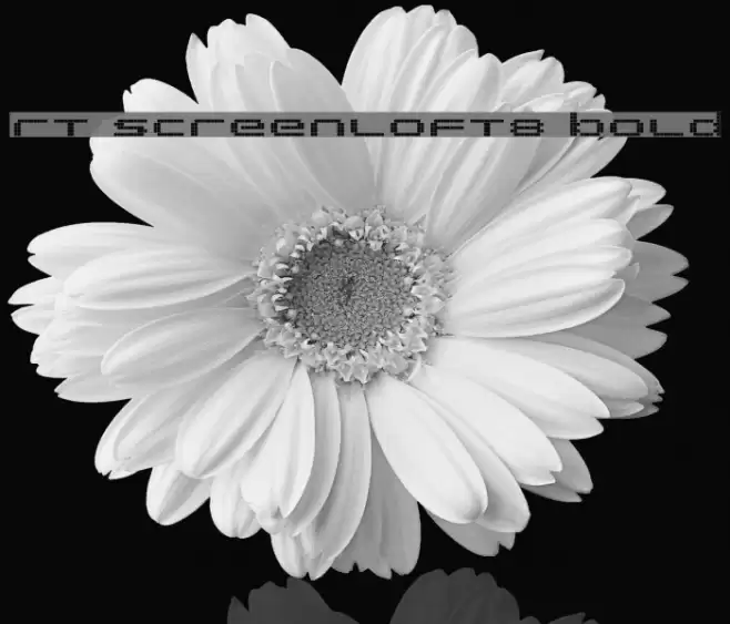 rt screenloft8 Bold Font examples