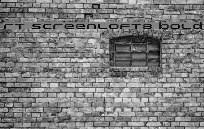 rt screenloft8 Bold Font examples