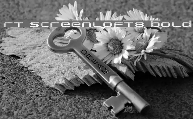 rt screenloft8 Bold Font examples