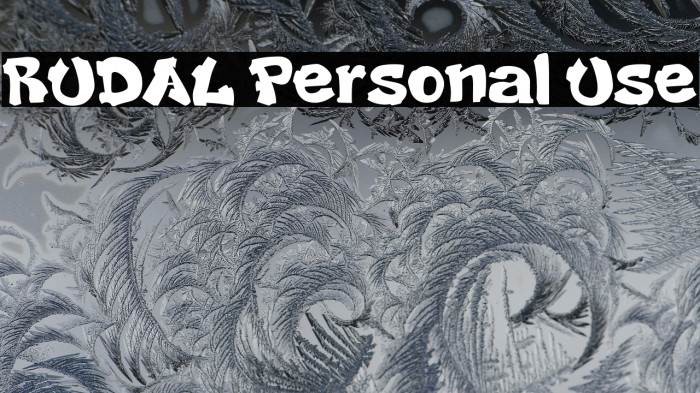 RUDAL Personal Use Example 1