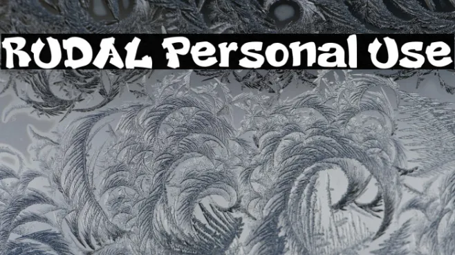 RUDAL Personal Use Example 1