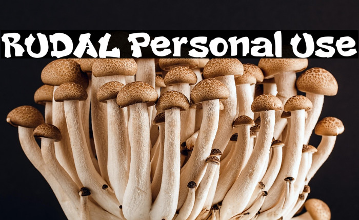 RUDAL Personal Use Example 2