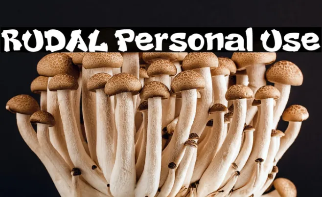 RUDAL Personal Use Example 2
