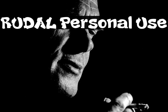 RUDAL Personal Use Example 3