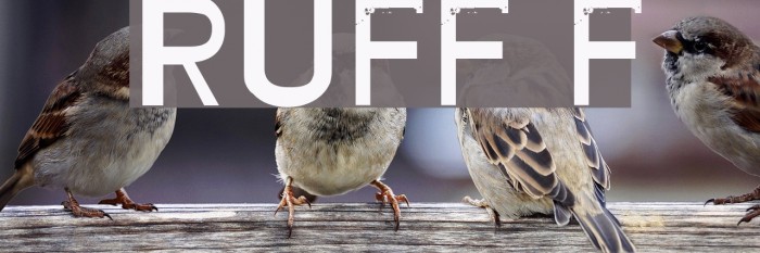RUFF Font examples