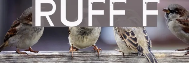 RUFF Example 1
