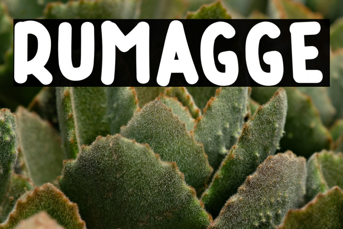 RUMAGGE Example 1