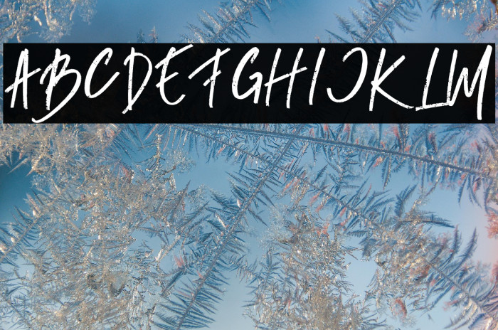 RUMBE-Regular Example 2