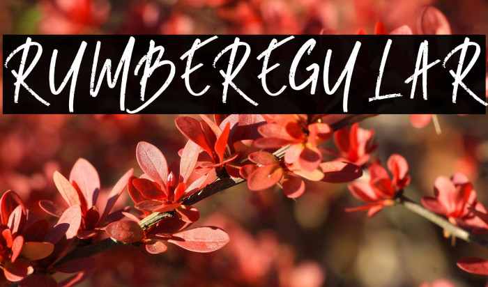 RUMBE-Regular Example 1