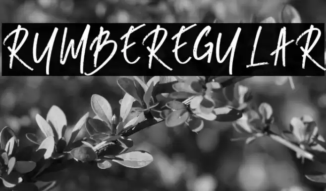 RUMBE-Regular Font examples