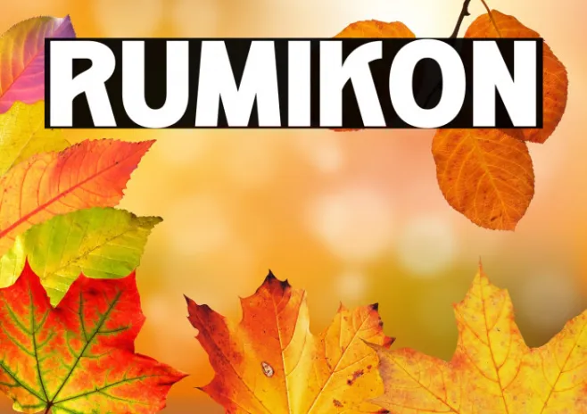RUMIKON Example 1