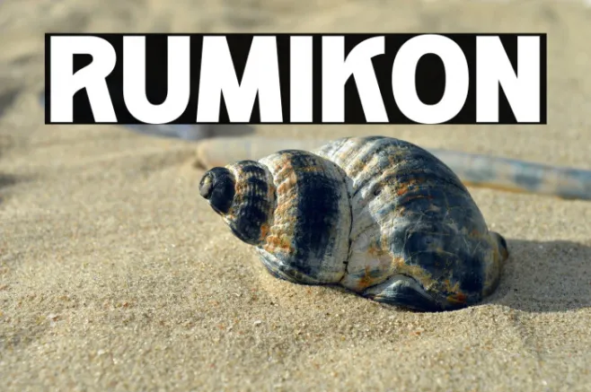 RUMIKON Example 3