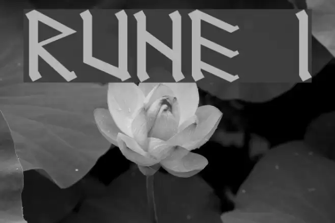 RUNEnglish 1 خط examples