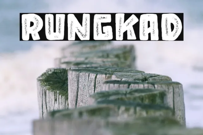 RUNGKAD Example 1