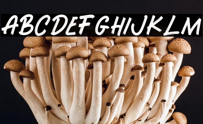 RUNWAYBRUSH Example 3