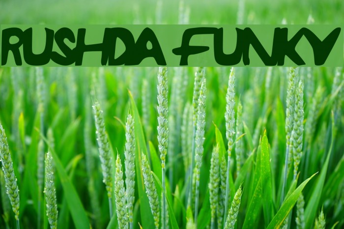 RUSHDA Funky Шрифта examples