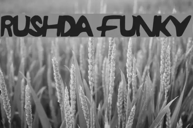 RUSHDA Funky Font examples
