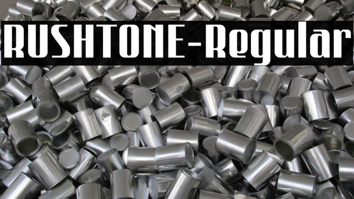 RUSHTONE-Regular Example 2