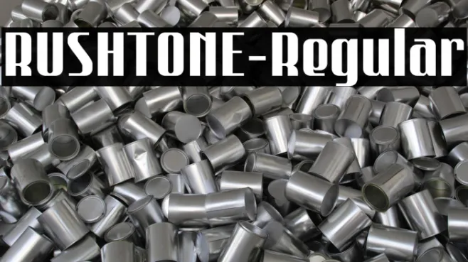 RUSHTONE-Regular Example 2