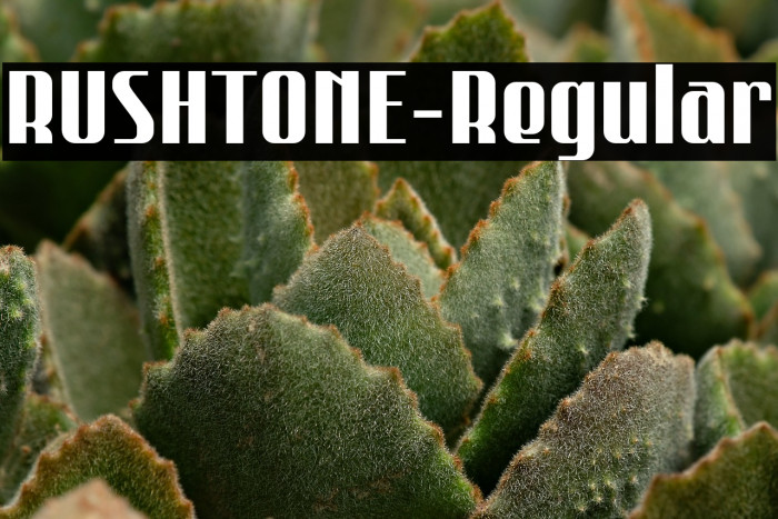 RUSHTONE-Regular Example 3