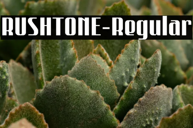 RUSHTONE-Regular Example 3